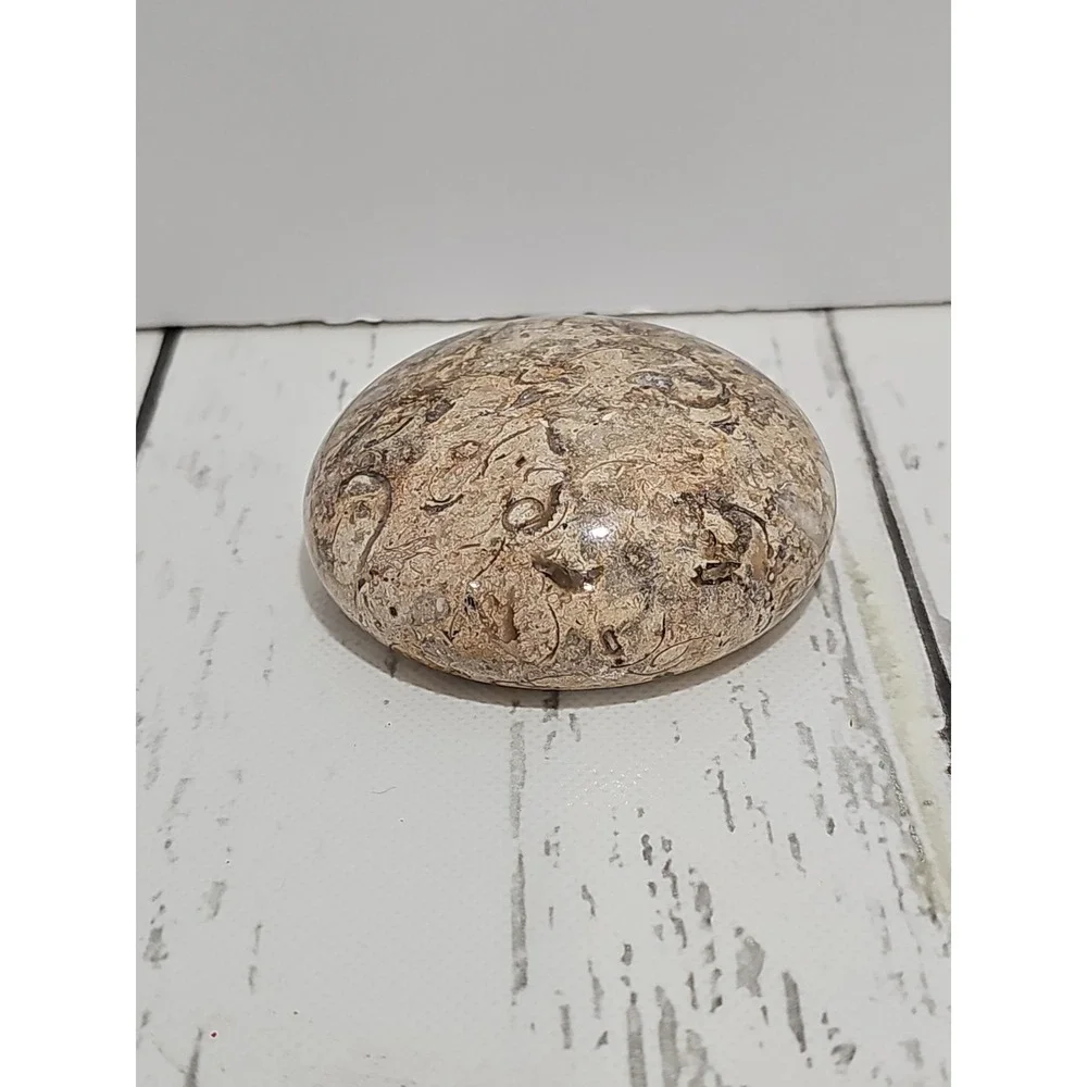 POLISHED SHELL FOSSIL PAPERWEIGHT. 3